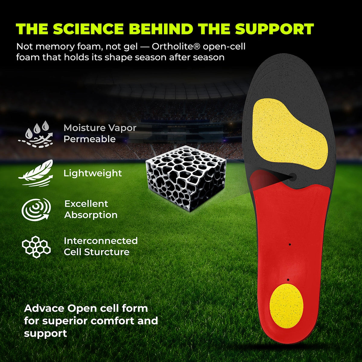 8ease Match + Training Kit — Cricket Pro for Match Day, Sports Support for Everything In Between